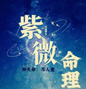 紫薇斗数