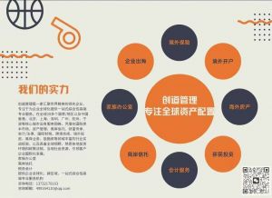 境外投资